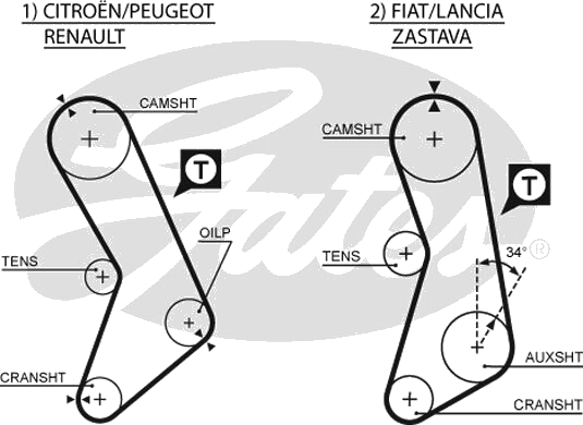 Courroie crantée — CITROËN / FIAT / LANCIA / PEUGEOT — GATES 5003