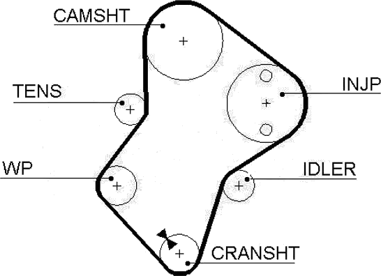 Courroie crantée — GATES 5049