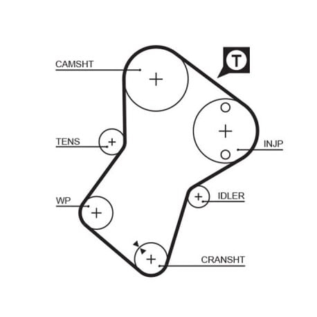 Courroie crantée — GATES 5049