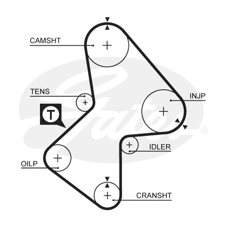 Courroie crantée — RENAULT / VOLVO — GATES 5051