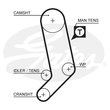 Courroie crantée — AUDI / VOLVO / VW — GATES 5323XS