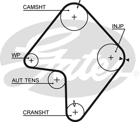 Courroie crantée — FORD / KIA / MAZDA / NISSAN — GATES 5355XS