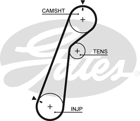Courroie crantée — FORD / MAZDA — GATES 5478XS