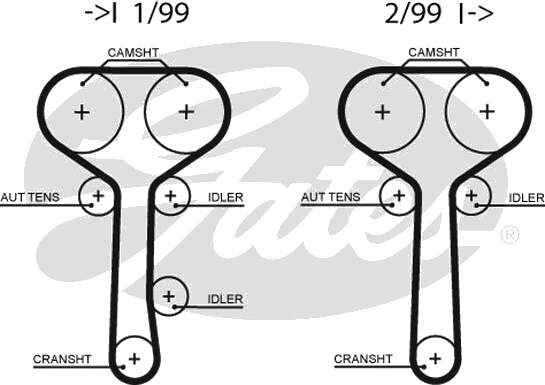 Courroie crantée — FORD / MAZDA — GATES 5508XS