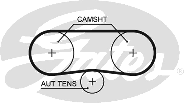 Courroie crantée — AUDI / SEAT / SKODA / VW — GATES 5516XS