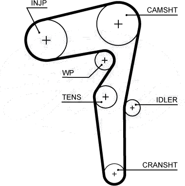 Courroie crantée — ALFA ROMEO / FIAT / LANCIA / OPEL — GATES 5646XS