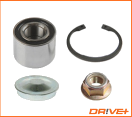 DP2010.10.0097 Kit de roulement de roue — IJS 10-1138R