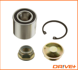 DP2010.10.0205 Kit de roulement de roue — IJS 10-1301R
