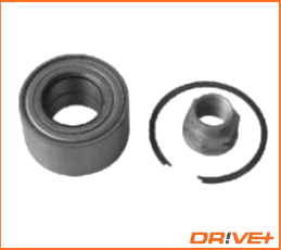 DP2010.10.0396 Kit de roulement de roue — IJS 10-1319R