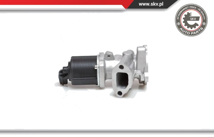 14SKV040 Vanne EGR — IJS 93-1001