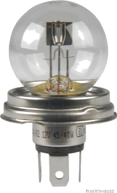 89901090 Bulb — KLAXCAR 86250Z