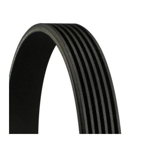 CONTINENTAL CTAM Courroie trapézoïdale poly-V 6PK1515 CONTINENTAL CTAM 6PK1515 — BMW / HYUNDAI / KIA — COURROIE POLY-V 6PK1515