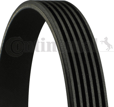 Courroie trapézoïdale à nervures DAYCO 6 PK 1715 DAYCO 6 PK 1715 — AUDI / BMW / CHEVROLET / FIAT — COURROIE POLY-V 6PK1715