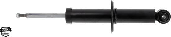G2246 Amortisseur — LTM C22487