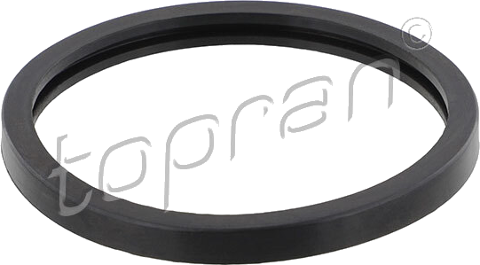 202 325 Gasket, thermostat — MARS 202325