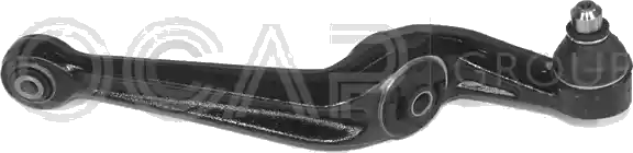 0391605 Bras de suspension — OCAP S.P.A 0391605