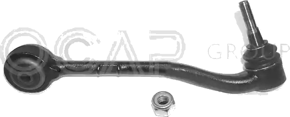 0391873 Bras de suspension — OCAP S.P.A 0391873