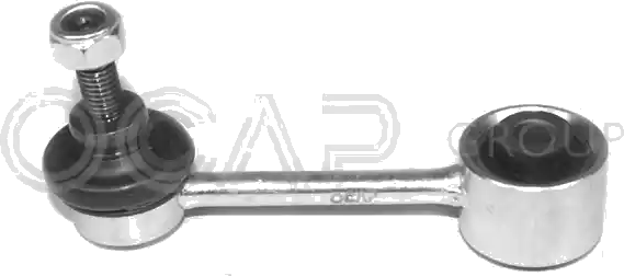 0501496 Biellette de barre stabilisatrice — OCAP S.P.A 0501496