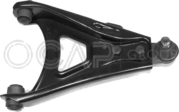 0790691 Bras de suspension — OCAP S.P.A 0790691