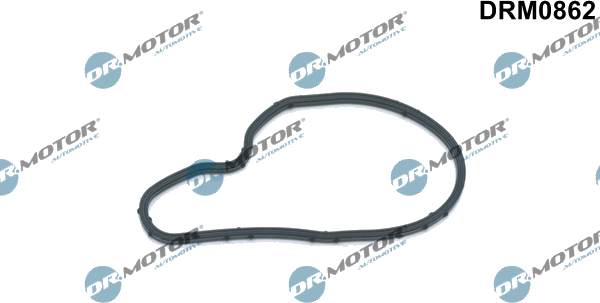 DRM0862 Gasket, vacuum Pompe — RECORD AMORTISSEUR 545349