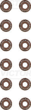 12-53036-02 Jeu de joints de queue de soupape — VICTOR REINZ 12-53036-02