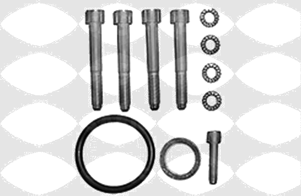 1002613 Repair Kit, propshaft mounting — SASIC 1002613