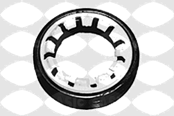 1213263 Shaft Seal, differential — SASIC 1213263