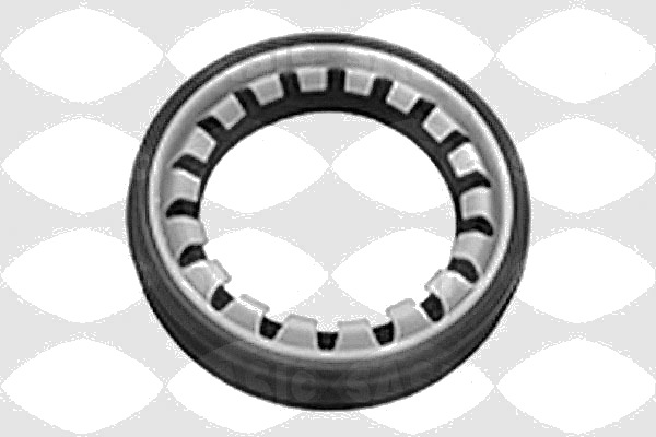 1213273 Shaft Seal, differential — SASIC 1213273