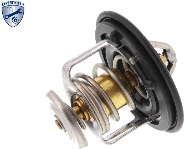 A26-99-0001 Thermostat d'eau — SASIC 4006074