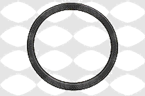 6092032 Seal, propshaft — SASIC 6092032