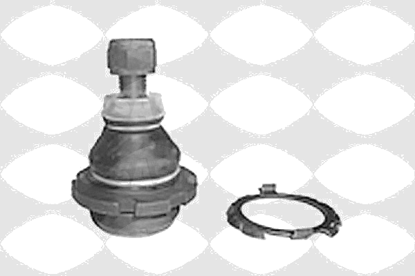 6403153 Rotule de suspension — SASIC 6403153
