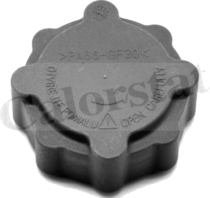 RC0025 Sealing Cap, coolant tank — VERNET RC0025