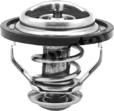 Thermostat d'eau / Calorstat