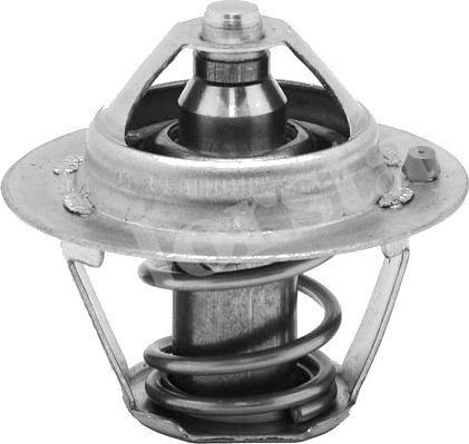Thermostat d'eau / Calorstat