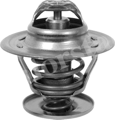 Thermostat d'eau / Calorstat
