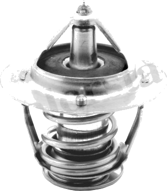 Thermostat d'eau / Calorstat