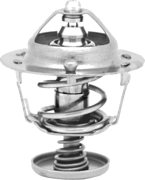 Thermostat d'eau / Calorstat