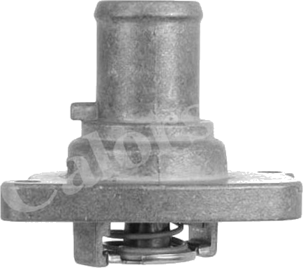Thermostat d'eau / Calorstat