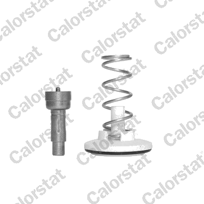 Thermostat d'eau / Calorstat
