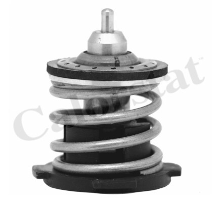 Thermostat d'eau moteur