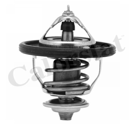 Thermostat d'eau moteur
