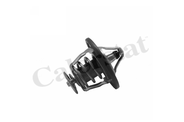 Thermostat d'eau moteur