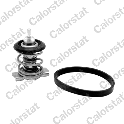Thermostat d'eau / Calorstat